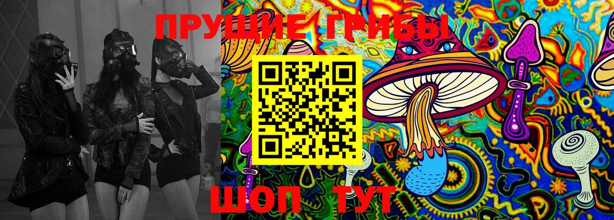 Галлюциногенные грибы ЛСД  Вход с VPN  Галлюциногенные грибы Psilocybine cubensis  купить   Новосибирск 