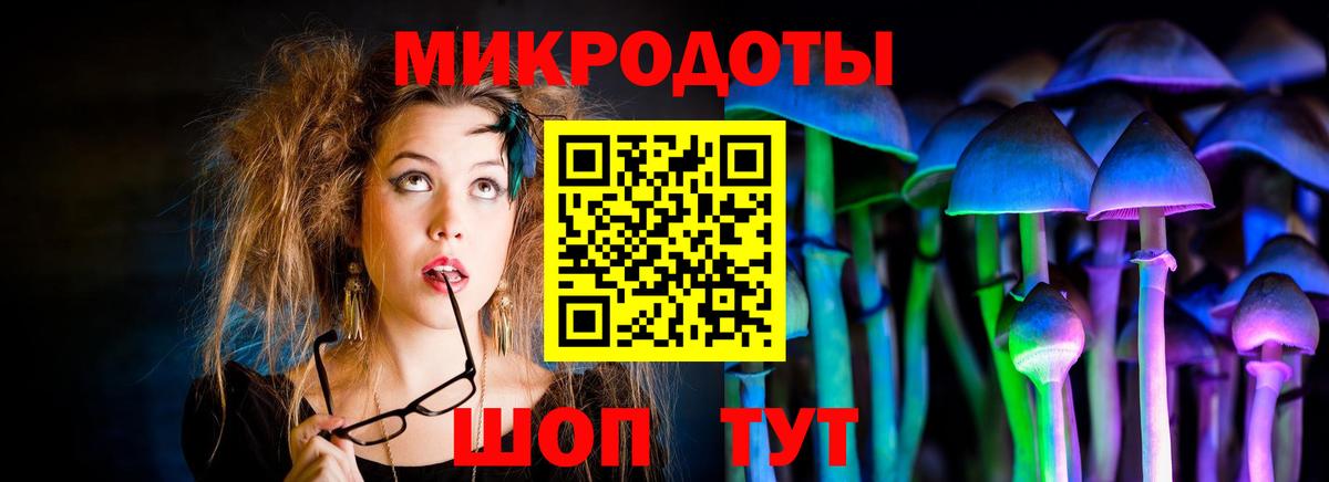 Галлюциногенные грибы Psilocybe Новосибирск