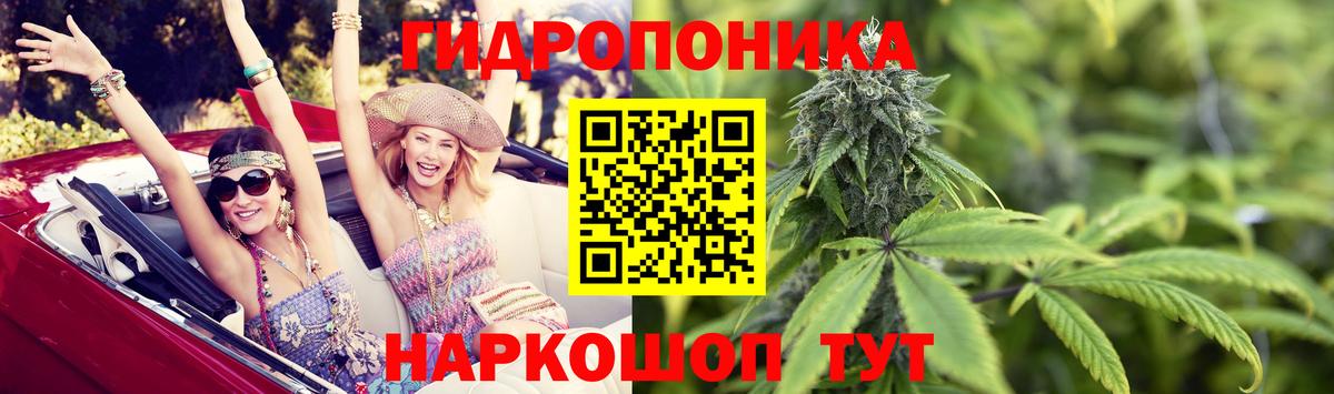Марихуана семена  Вход с VPN  Новосибирск  Конопля ГИДРОПОН  Конопля OG Kush 